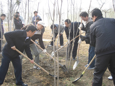 河南平高尊龙凯时高压开关有限公司近80名员工来到湛河堤岸的义务林参加植树活动